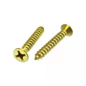 # 10 X 2" Brass Plated Flat Head Phillips Sheet Metal Screws (Pack of 12)