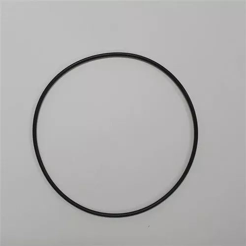 DABSR00004187 O-Ring | DAB