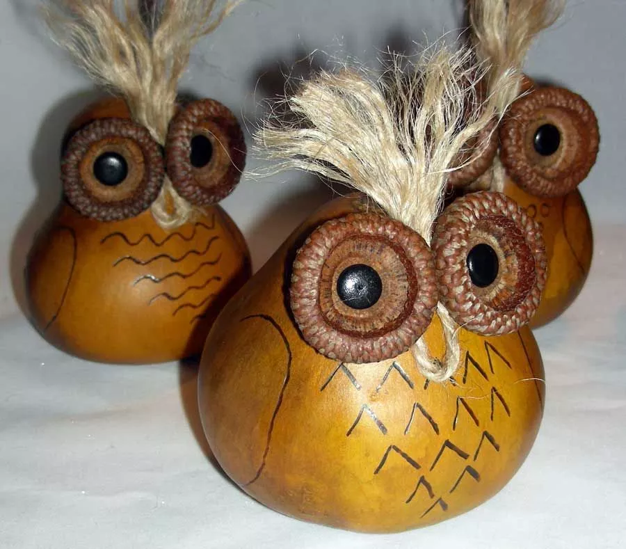 Gourd Owl