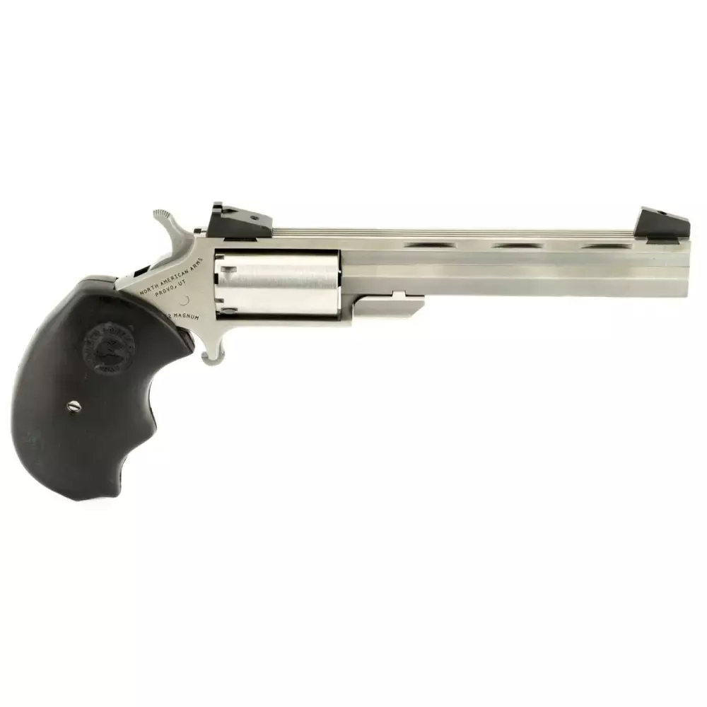 NAA MINI REVLVR MINI MASTER TGT CONV 22LR/MAG 4″