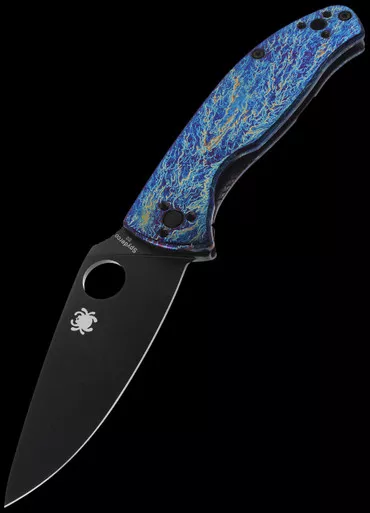 Spyderco Tenacious Titanium Black Folding Knife